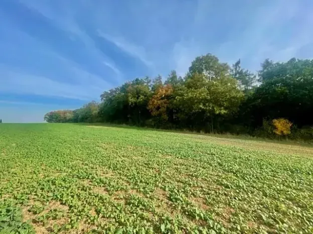 Prodej pole, Praha - Liboc, Na Padesátníku I, 24066 m2