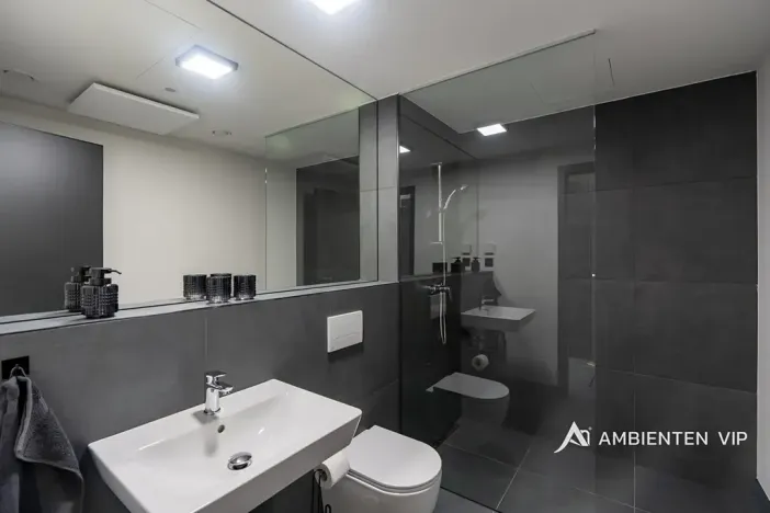 Pronájem bytu 1+kk, Brno, Královopolská, 42 m2