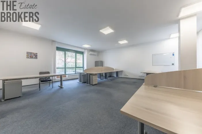 Pronájem rodinného domu, Mladá Boleslav - Čejetice, Koněvova, 296 m2