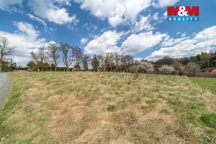 Prodej pozemku pro bydlení, Březnice - Bor, 2692 m2