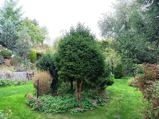 Prodej chalupy, Klučenice, 166 m2