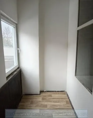 Pronájem bytu 1+1, Trmice, Žižkova, 45 m2