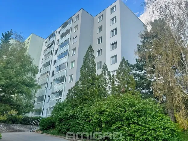 Prodej bytu 2+kk, Brno, Labská, 45 m2