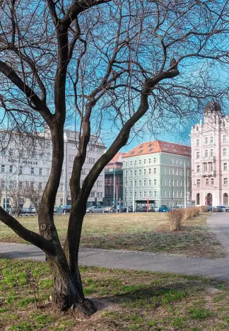 Pronájem - jiné, Praha - Nové Město, Petrská, 7 m2