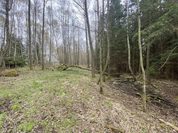 Prodej pozemku, Volfířov - Brandlín, 5958 m2