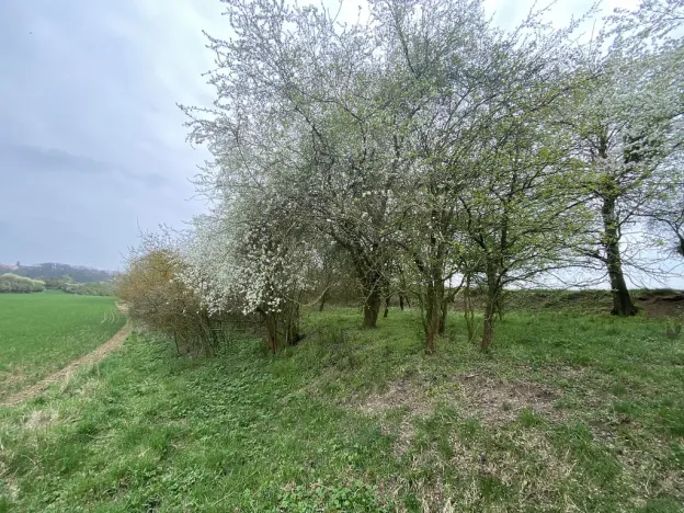 Prodej pozemku, Štětí - Brocno, 273 m2