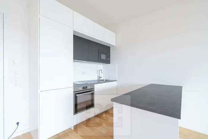 Pronájem bytu 2+kk, Praha - Holešovice, Jankovcova, 63 m2