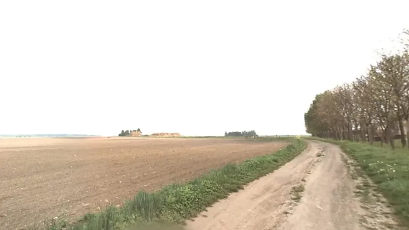 Prodej pole, Luštěnice, 2158 m2