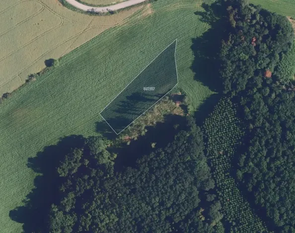 Prodej podílu pole, Újezd u Černé Hory, 4226 m2