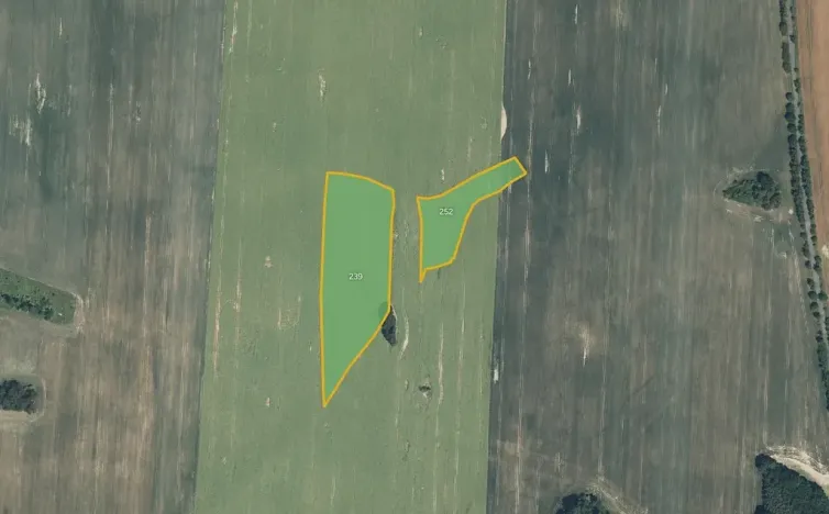 Prodej pole, Hostouň, 8805 m2