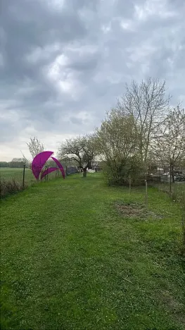 Prodej zahrady, Olomouc, 985 m2