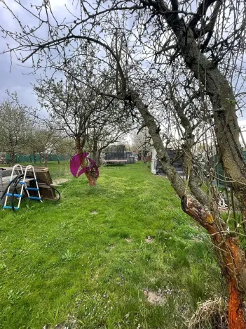 Prodej zahrady, Olomouc, 985 m2