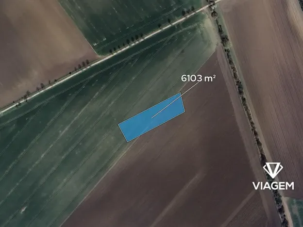 Prodej podílu pole, Třibřichy, 381 m2