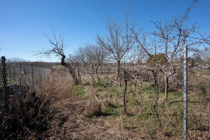 Dražba rodinného domu, Dolní Dunajovice, Polní, 490 m2