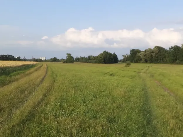 Dražba louky, Pustějov, 9886 m2
