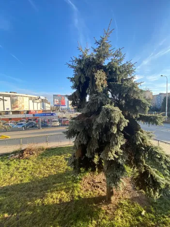 Pronájem bytu 3+1, Brno, Poříčí, 81 m2