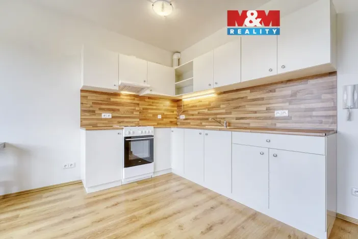 Pronájem bytu 1+kk, Plasy, U Václava, 42 m2