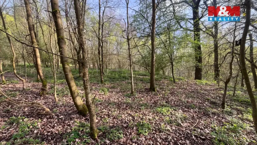 Prodej pole, Písek - Hradiště, 5135 m2