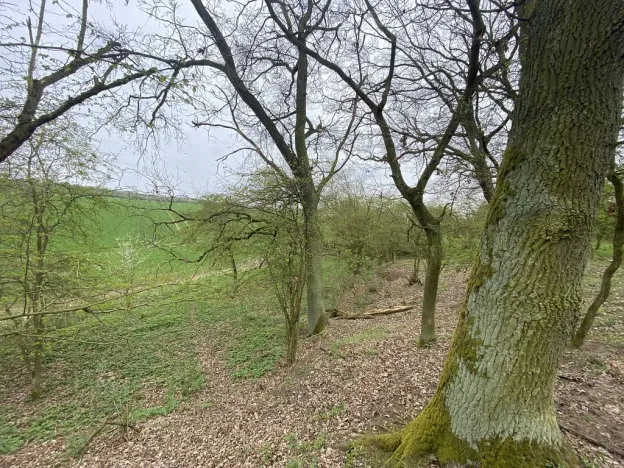 Prodej pozemku, Štětí - Brocno, 1107 m2