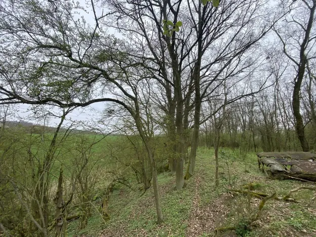 Prodej pozemku, Štětí - Brocno, 1107 m2