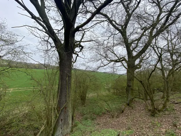 Prodej pozemku, Štětí - Brocno, 1107 m2