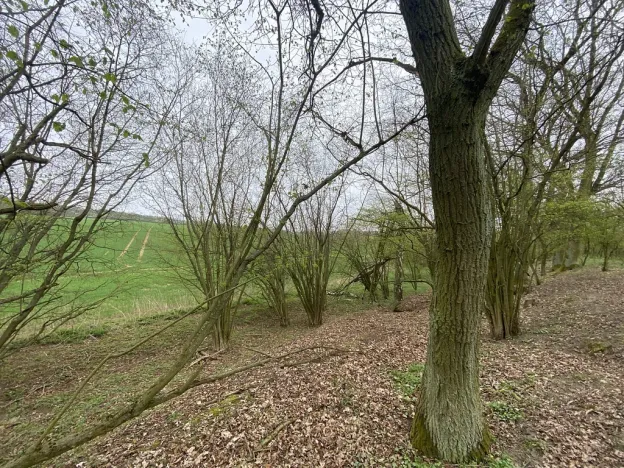 Prodej pozemku, Štětí - Brocno, 1107 m2