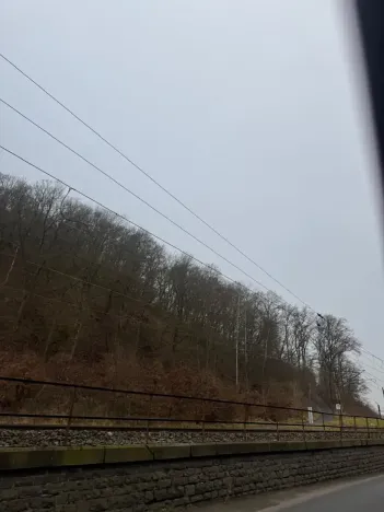 Prodej lesa, Ústí nad Labem, 41840 m2