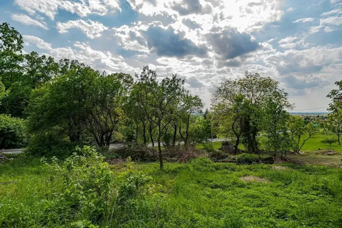 Prodej pozemku pro bydlení, Veliny, 1652 m2