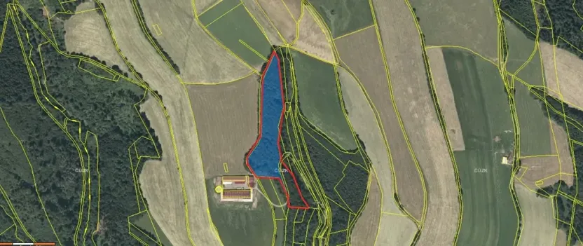 Prodej lesa, Štíty, 18750 m2