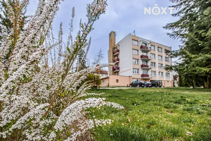 Prodej bytu 3+1, Borovany, Nová, 65 m2