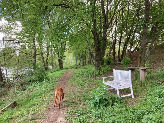 Pronájem bytu 2+kk, Říčany, Leknínová, 50 m2