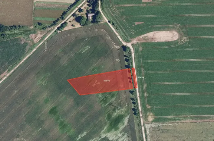 Prodej pole, Dubicko, 31003 m2