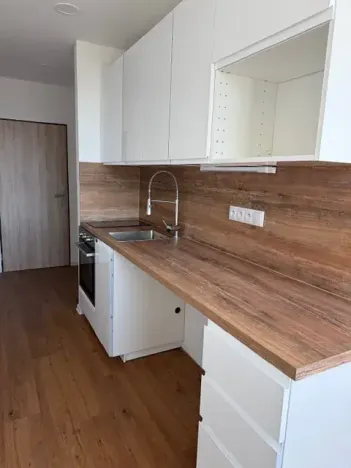 Pronájem bytu 1+kk, Liberec, Březová alej, 22 m2