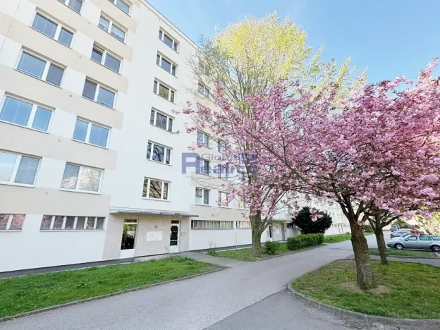 Pronájem bytu 1+kk, Pardubice, Bělehradská, 34 m2