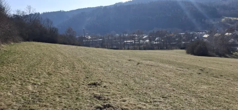 Prodej louky, Ústí nad Orlicí - Kerhartice, 49647 m2