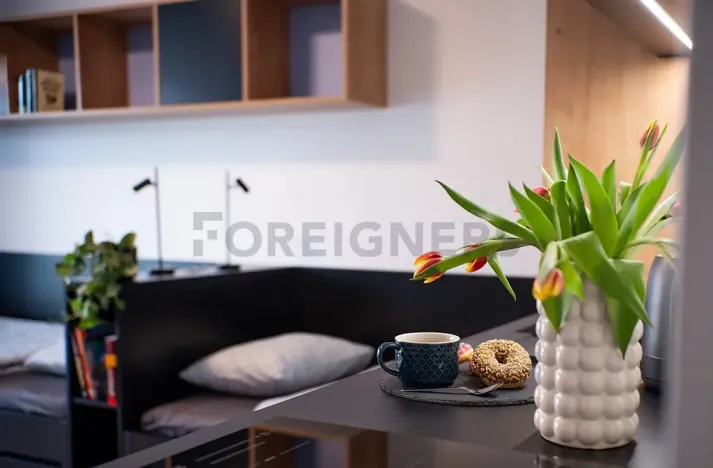 Pronájem bytu 1+kk, Olomouc, Edmunda Husserla, 27 m2