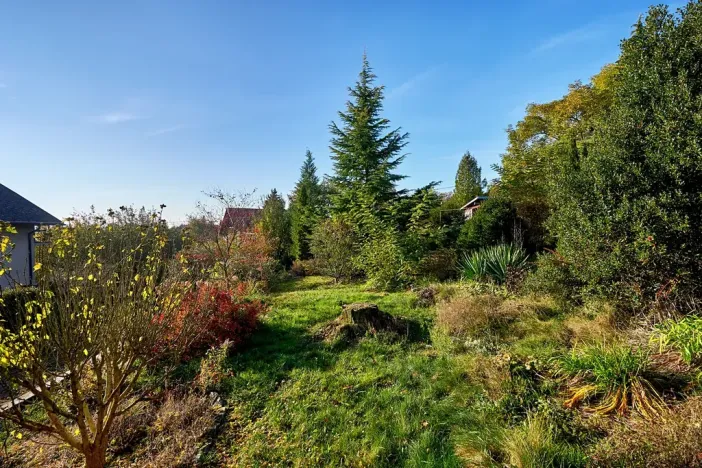 Prodej rodinného domu, Černé Voděrady, Zvánovická, 237 m2