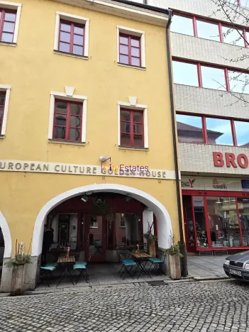 Pronájem bytu 1+1, České Budějovice, Dr. Stejskala, 59 m2