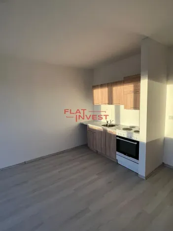 Pronájem bytu 1+kk, Tanvald, U Školky, 30 m2