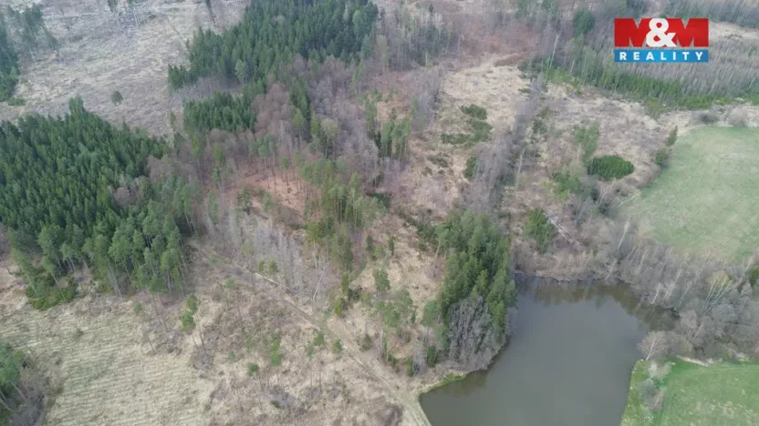 Prodej lesa, Mrákotín, 7873 m2