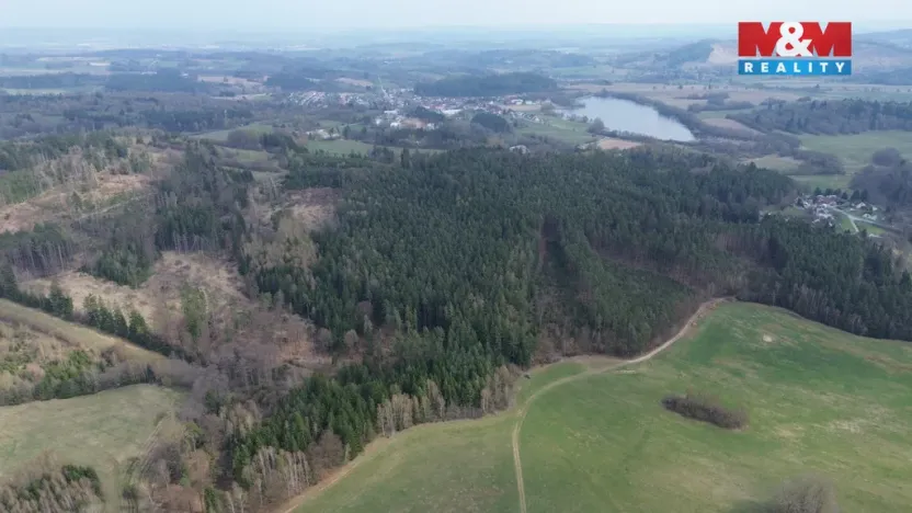 Prodej lesa, Mrákotín, 7873 m2