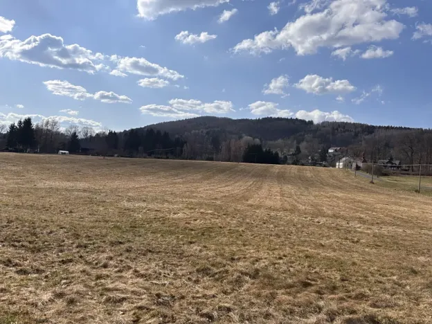 Prodej louky, Cvikov, 35271 m2