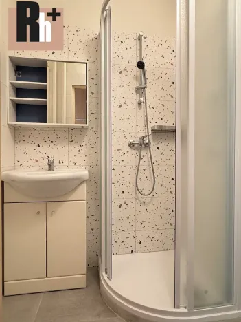 Prodej bytu 2+1, Ostrava, U Lesa, 52 m2