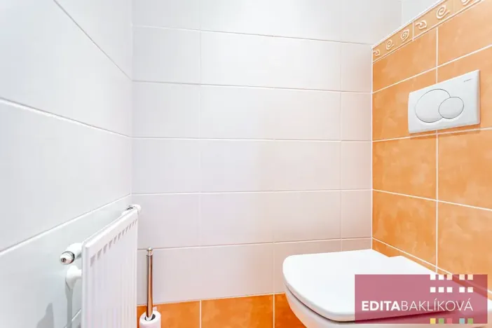 Pronájem bytu 2+kk, Olomouc, Profesora Fuky, 44 m2