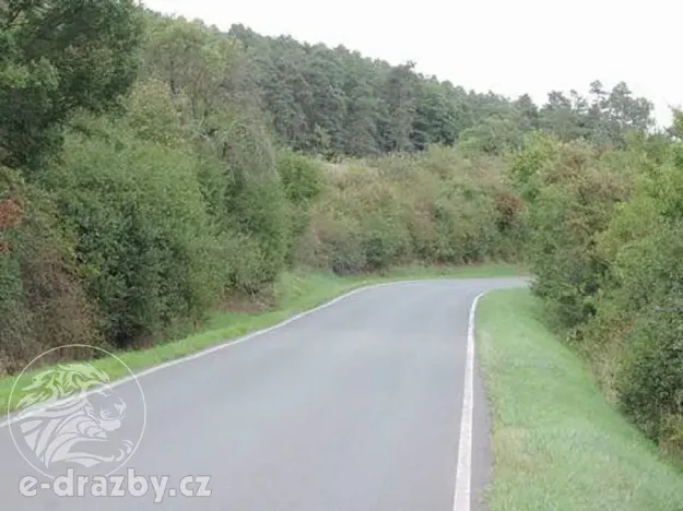 Dražba pozemku, Třebichovice, 6533 m2