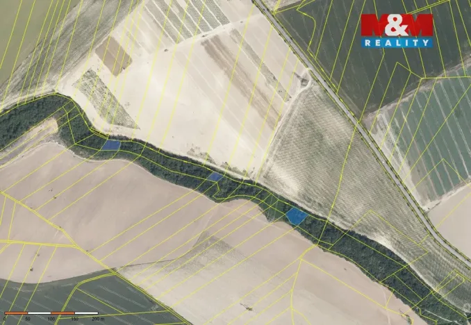 Prodej lesa, Mochov, 4629 m2