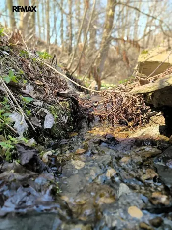 Prodej chalupy, Zlaté Hory, 130 m2