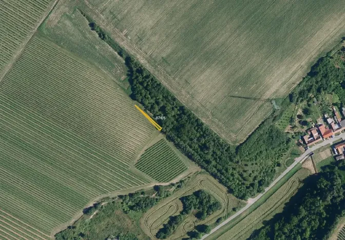 Prodej sadu/vinice, Bulhary, 63228 m2