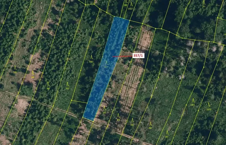 Dražba lesa, Chotěbudice, 1670 m2