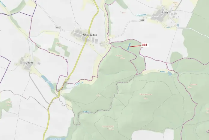 Dražba lesa, Chotěbudice, 4302 m2